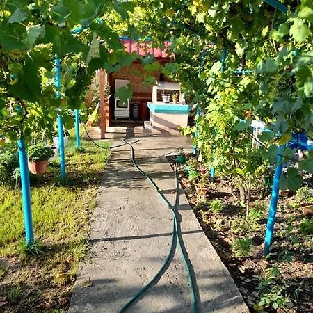 ホテル Casa Anhela コルブ エクステリア 写真
