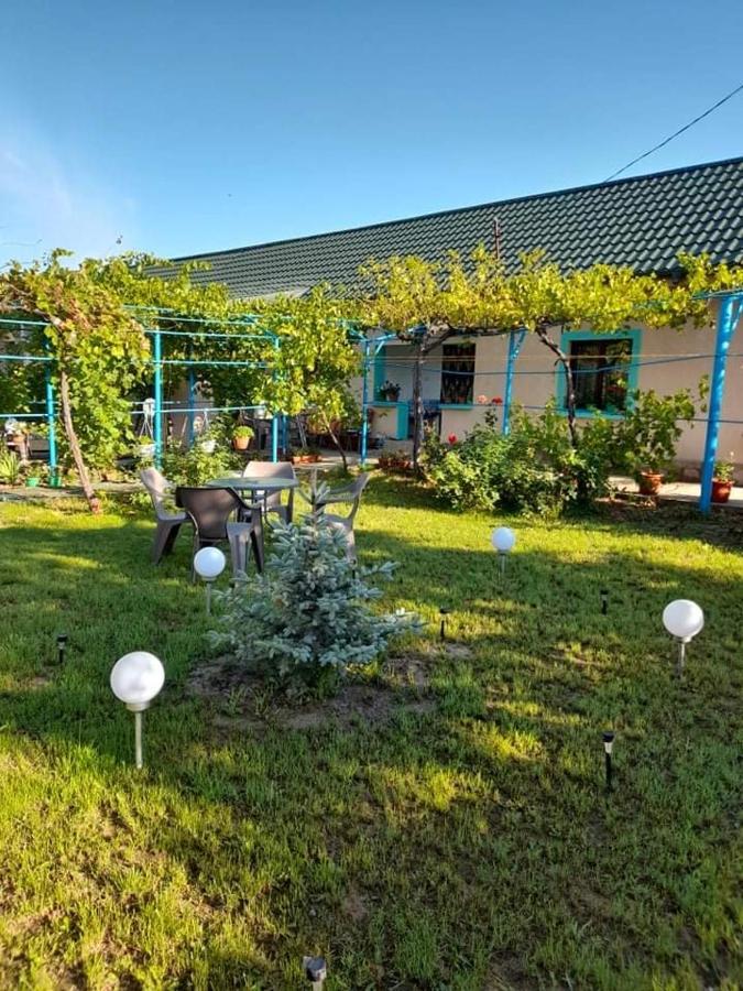 ホテル Casa Anhela コルブ エクステリア 写真