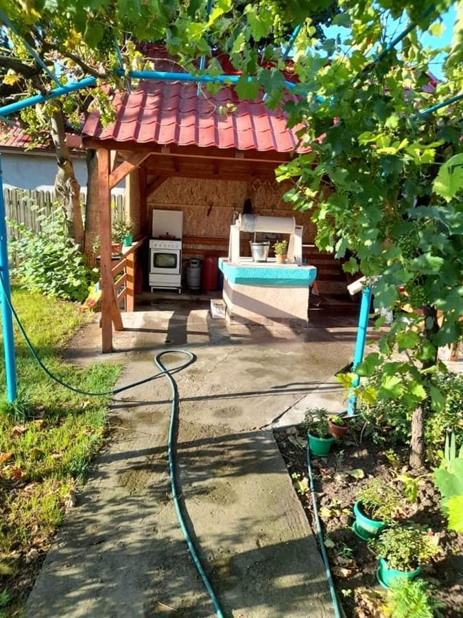 ホテル Casa Anhela コルブ エクステリア 写真