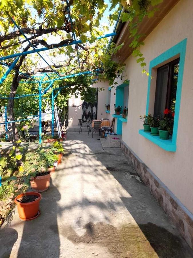 ホテル Casa Anhela コルブ エクステリア 写真