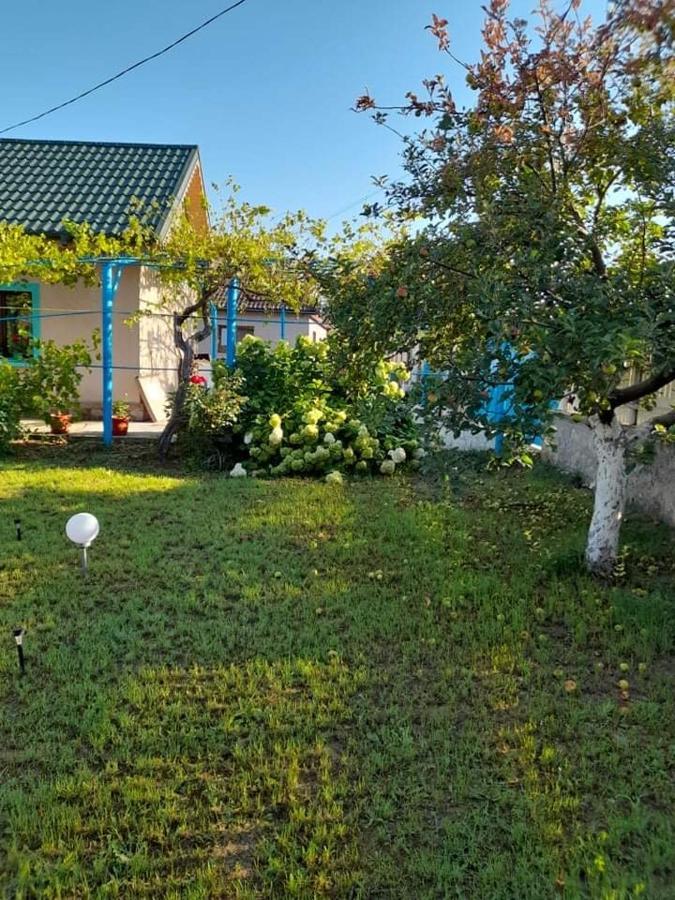 ホテル Casa Anhela コルブ エクステリア 写真