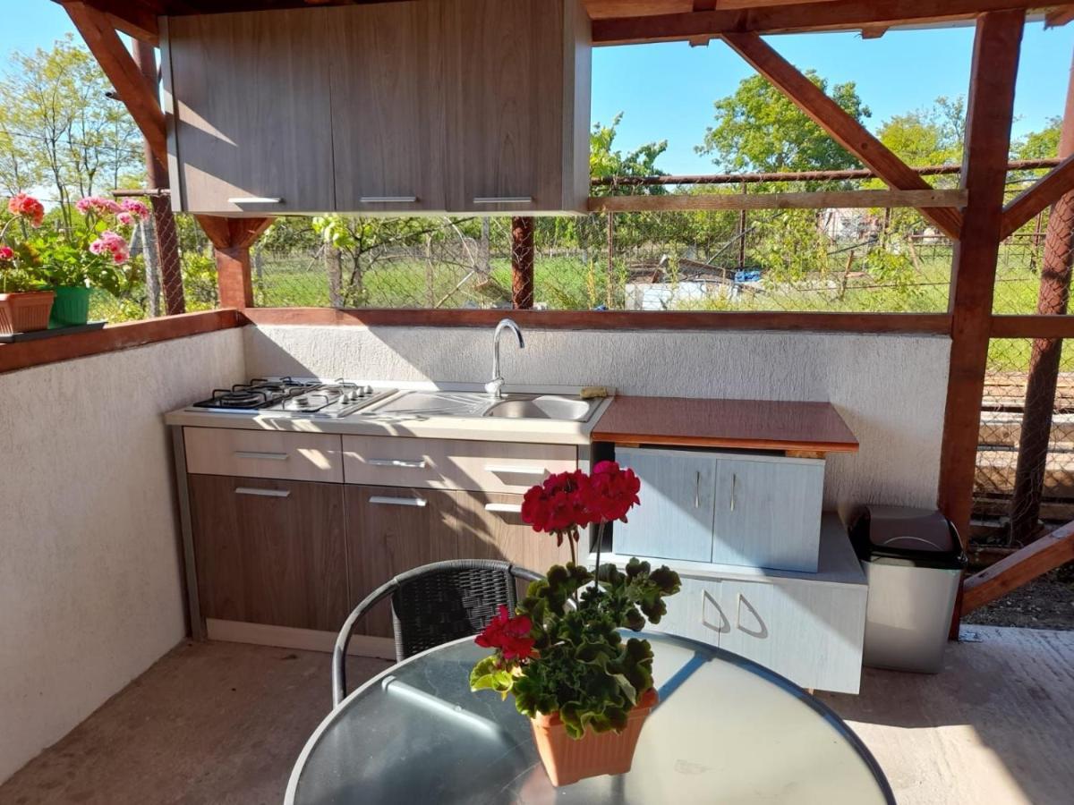 ホテル Casa Anhela コルブ エクステリア 写真